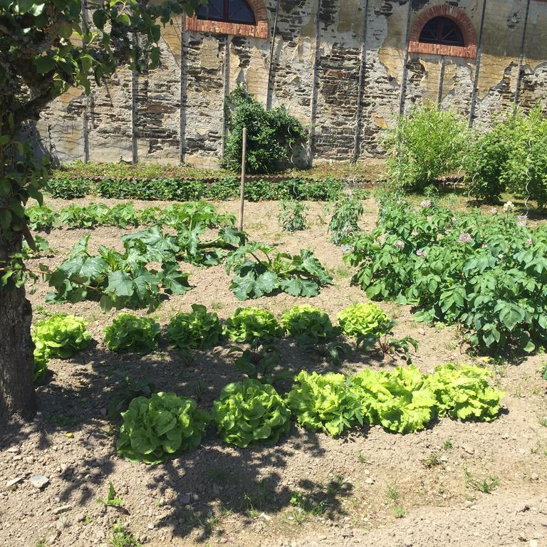 Le Manoir De Benedicte Frühstückspension Cahan